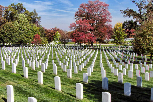 Arlington2